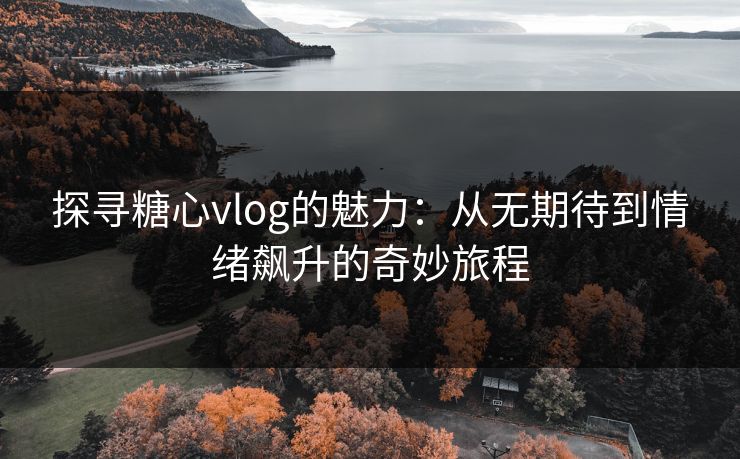 探寻糖心vlog的魅力：从无期待到情绪飙升的奇妙旅程