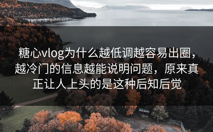 糖心vlog为什么越低调越容易出圈，越冷门的信息越能说明问题，原来真正让人上头的是这种后知后觉