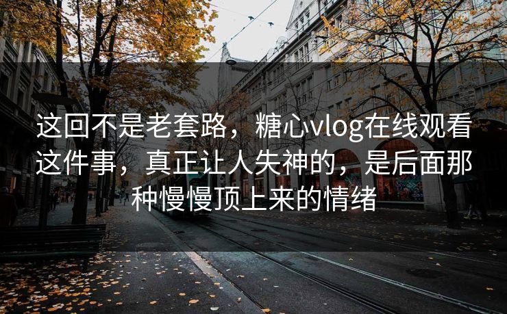 这回不是老套路，糖心vlog在线观看这件事，真正让人失神的，是后面那种慢慢顶上来的情绪