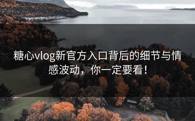 糖心vlog新官方入口背后的细节与情感波动，你一定要看！