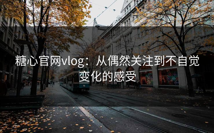糖心官网vlog：从偶然关注到不自觉变化的感受
