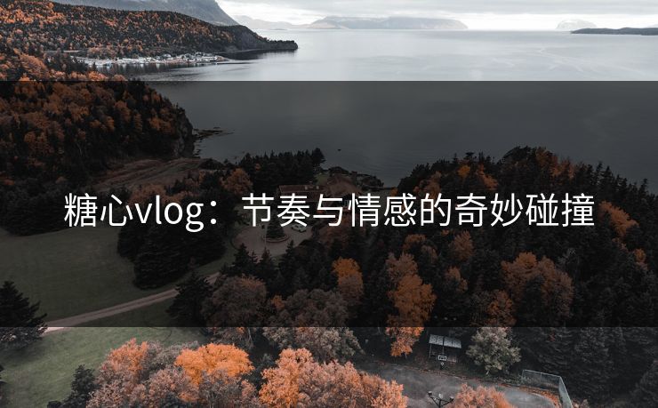 糖心vlog：节奏与情感的奇妙碰撞