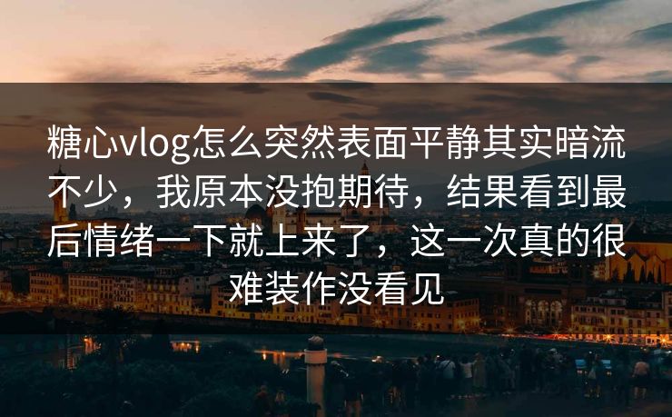 糖心vlog怎么突然表面平静其实暗流不少，我原本没抱期待，结果看到最后情绪一下就上来了，这一次真的很难装作没看见