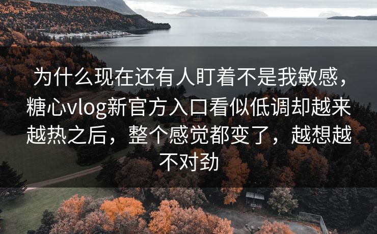 为什么现在还有人盯着不是我敏感，糖心vlog新官方入口看似低调却越来越热之后，整个感觉都变了，越想越不对劲
