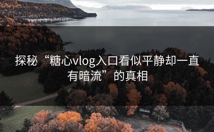 探秘“糖心vlog入口看似平静却一直有暗流”的真相