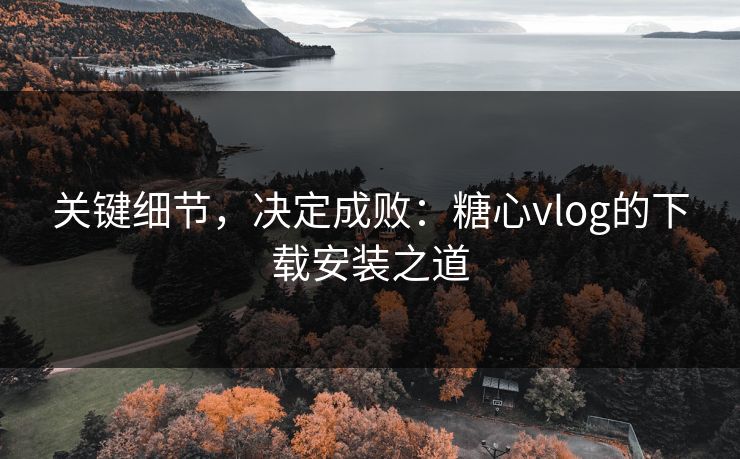 关键细节，决定成败：糖心vlog的下载安装之道