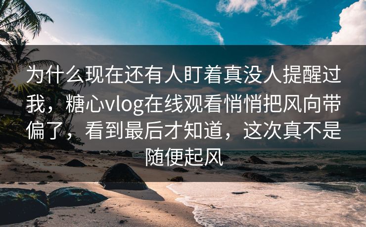 为什么现在还有人盯着真没人提醒过我,糖心vlog在线观看悄悄把风向带偏了,看到最后才知道,这次真不是随便起风