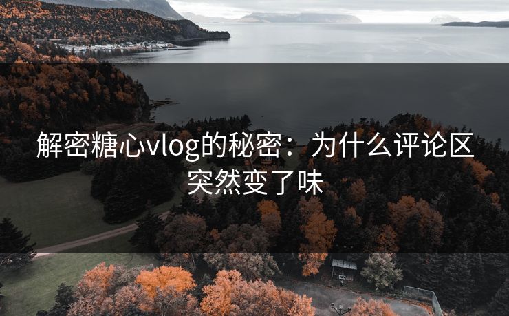 解密糖心vlog的秘密：为什么评论区突然变了味