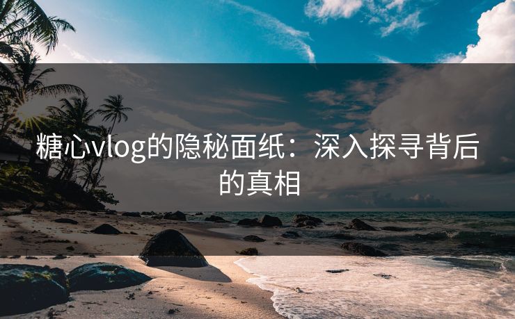 糖心vlog的隐秘面纸：深入探寻背后的真相