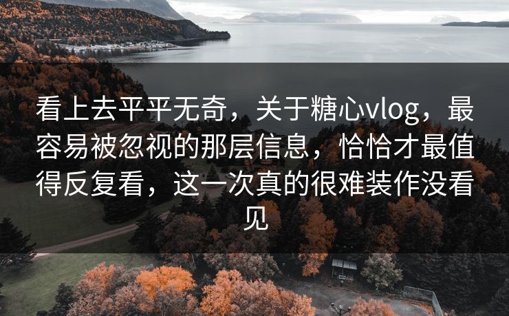 看上去平平无奇,关于糖心vlog,最容易被忽视的那层信息,恰恰才最值得反复看,这一次真的很难装作没看见