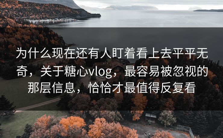 为什么现在还有人盯着看上去平平无奇,关于糖心vlog,最容易被忽视的那层信息,恰恰才最值得反复看