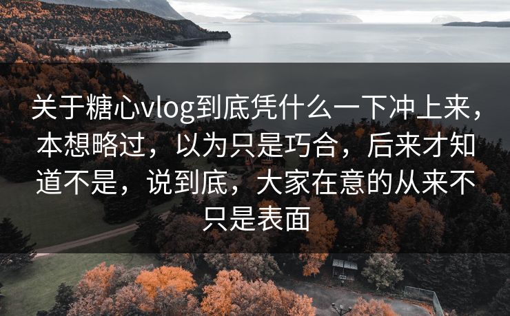 关于糖心vlog到底凭什么一下冲上来，本想略过，以为只是巧合，后来才知道不是，说到底，大家在意的从来不只是表面