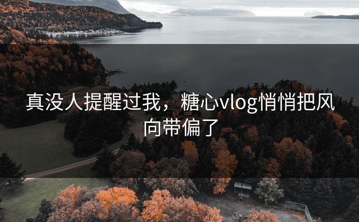真没人提醒过我，糖心vlog悄悄把风向带偏了