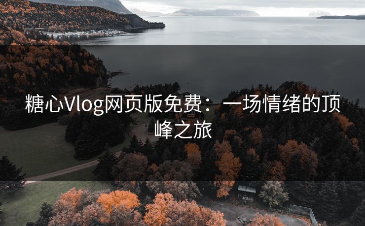 糖心Vlog网页版免费:一场情绪的顶峰之旅 第1张 糖心Vlog网页版免费:一场情绪的顶峰之旅 第1张